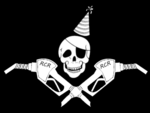 Party pirates logo big pumps 600x800
